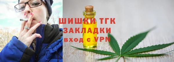 шишки Шарыпово