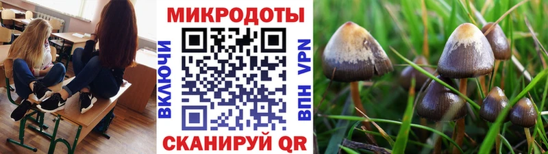 дарнет шоп  Подольск  Псилоцибиновые грибы прущие грибы 