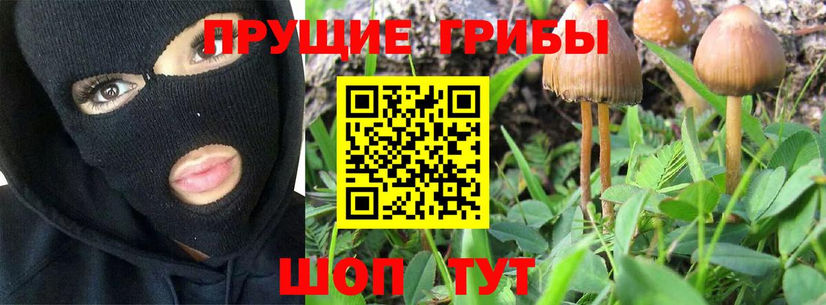 Подольск  Псилоцибиновые грибы GOLDEN TEACHER  Вход с VPN 