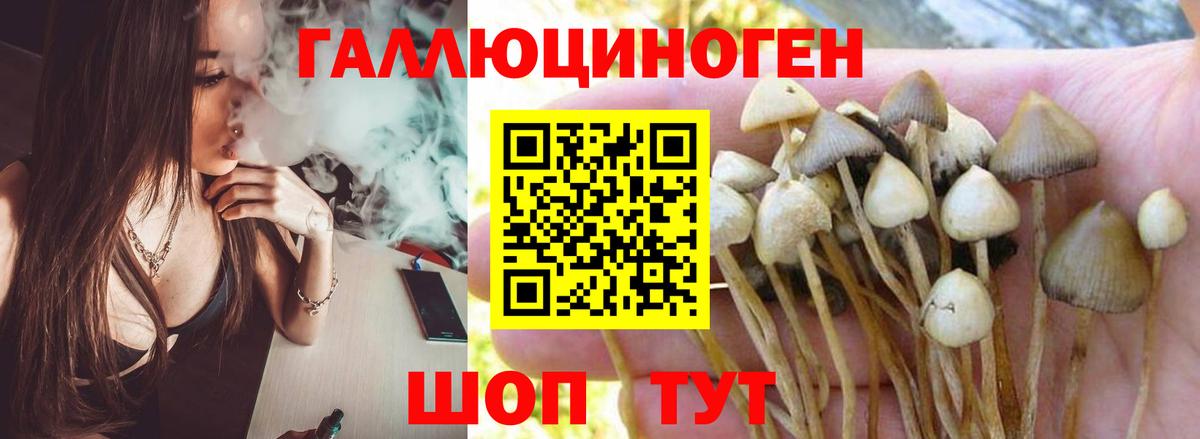 Галлюциногенные грибы мицелий Подольск